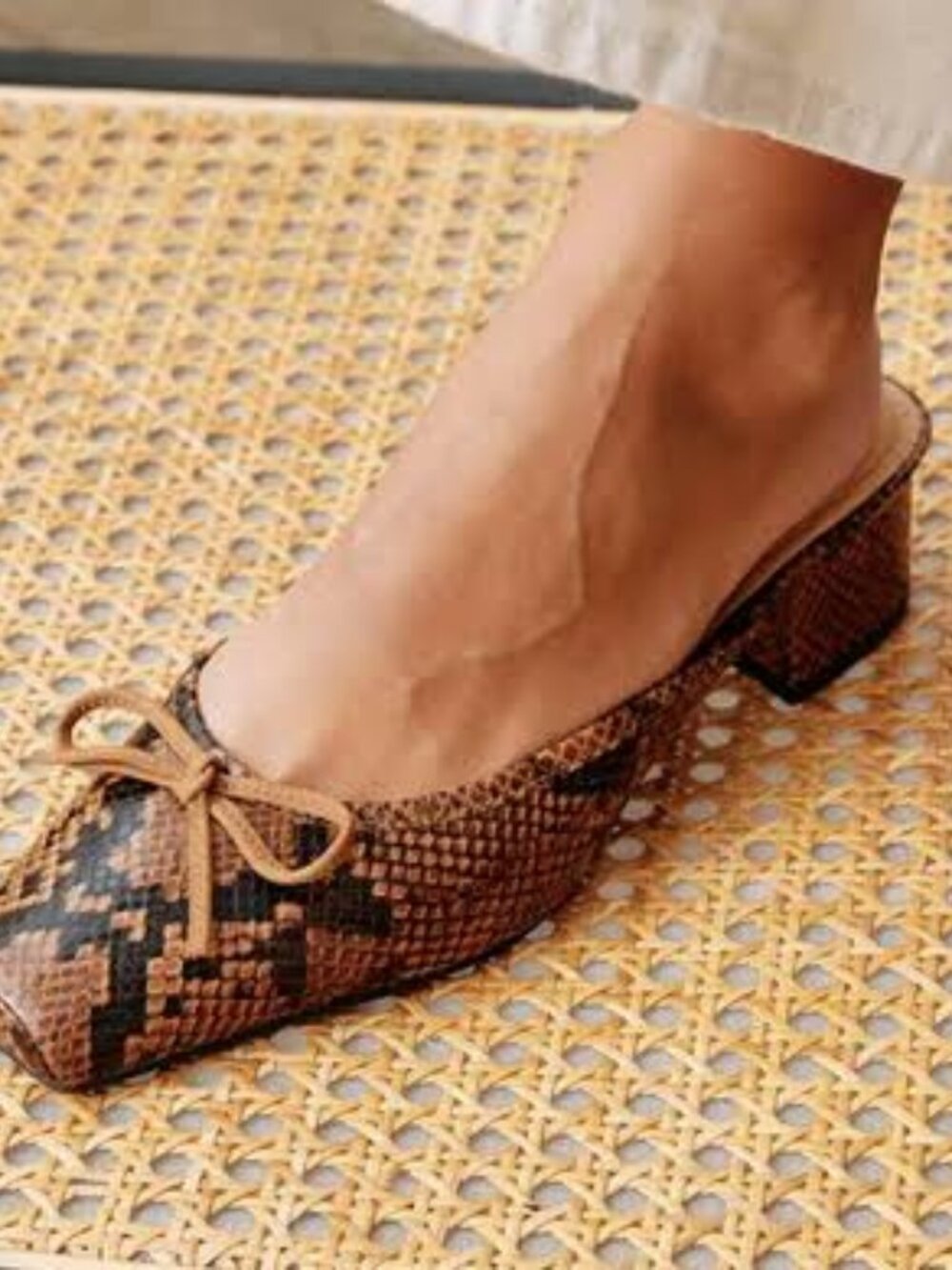 Matisse Basilio Mule in "Brown Snake"